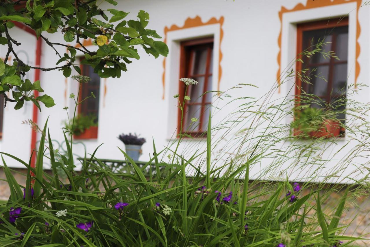 Hajenka Hrabete Buquoye Hotel Kaplice Exterior photo
